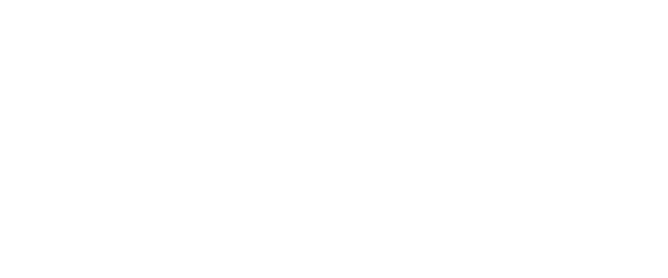 Nicoli C4 Logo
